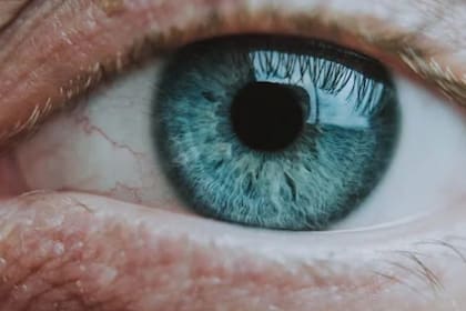 Las personas con ojos celestes son mayoría en la isla Mulatos, situada frente a la región de los manglares del Pacífico sudamericano (Foto Pexels)