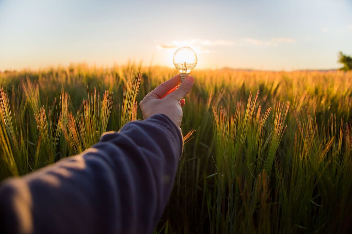 Las personas creativas tienen en común características como la curiosidad, la imaginación, la capacidad de percepción (sensibilidad sensorial, emocional-mental), la observación y análisis, entre otras