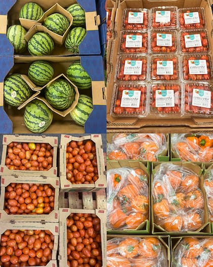 Las personas de El Paso cuentan con varios negocios que ofrecen alimentos frescos (Instagram/@unitedfoodbank)