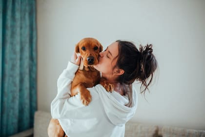 Las personas de Géminis adoran los animales