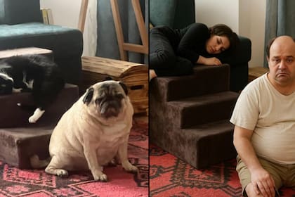 Las personas están sacando fotos de sus mascotas y le piden a la inteligencia artificial que las conviertan en humanos. Crédito: Justine Moore.