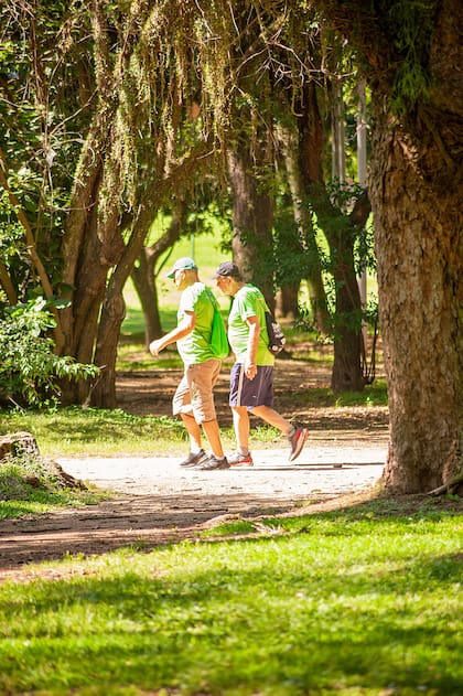 Las personas mayores de70 deberían caminar 20 minutos al día y entre cuatro y seis días a la semana