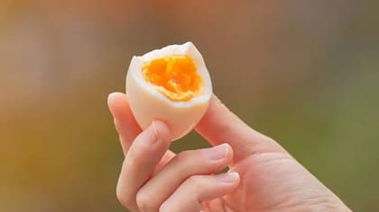 Las personas que comen huevos tienden a tener aproximadamente el doble de ingesta de colina que quienes no los consumen, según un estudio