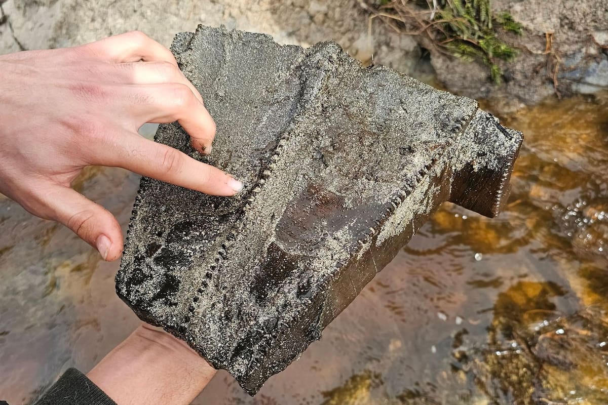 Las personas que descubrieron el objeto se dieron cuenta de su valor después de notar sus tallados únicos