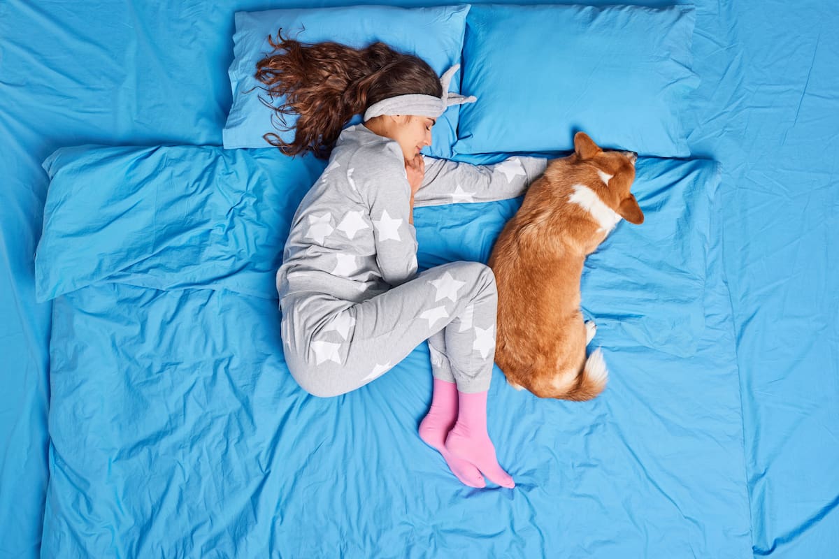 Las personas que duermen con una mascota suelen ser más tranquilas y tienden a tener menos signos de estrés (imagen ilustrativa)
