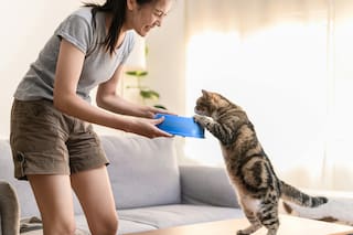 Según la psicología, los que le hablan a las mascotas como si fueran personas tienen una marcada sensibilidad
