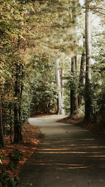 Las personas que realizan caminatas en espacios libres deben tomar medidas de protección para evitar las picaduras de garrapatas