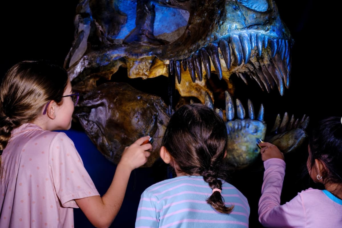 Las pijamadas en el museo están de vuelta en Nueva York