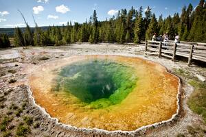 Las piletas multicolores de Yellowstone se forman por un puñado de bacterias híper termófilas que habitan en medios acuáticos cuya temperatura supera los 70 °C.