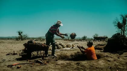 Las piñas se cuecen en rudimentarios hornos construidos a ras de suelo (Foto: BBC Mundo)