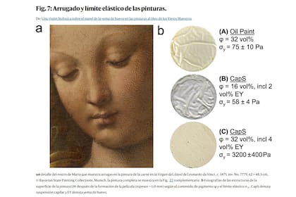 Las pinturas fueron analizadas por varios expertos.