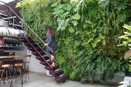 Las plantas actúan como reguladores térmicos, proporcionando ambientes más saludables