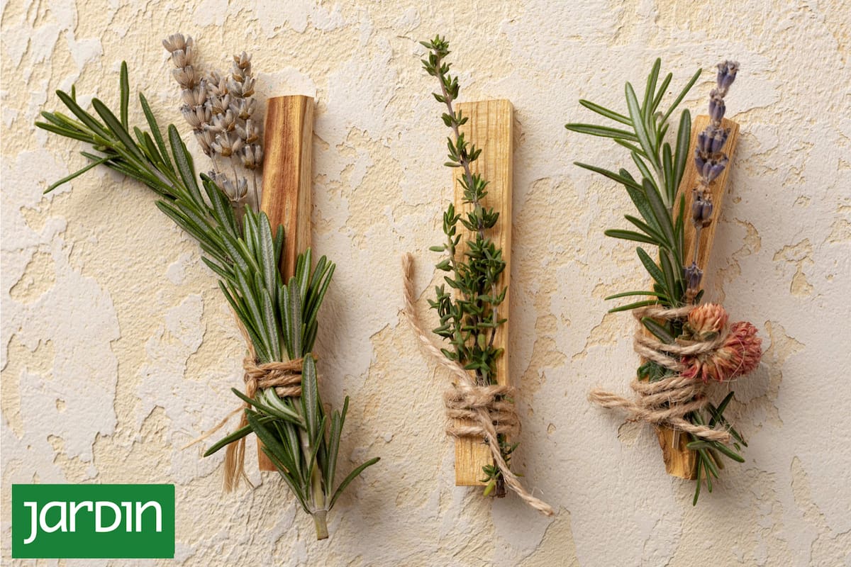 Las plantas aromáticas pueden tener más o menos fragancia según cómo se cultiven
