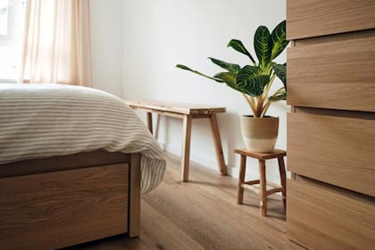 Las plantas aseguran óptimos niveles de oxígeno en el dormitorio