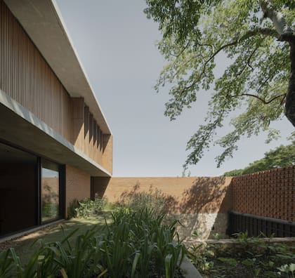 Las plantas autóctonas fueron protagonistas del paisajismo. “La presencia de plantas representa la vida, y en una vivienda no solamente mejora la calidad del aire, sino también la calidad de la experiencia arquitectónica, especialmente cuando la vegetación es la protagonista”, dicen.
