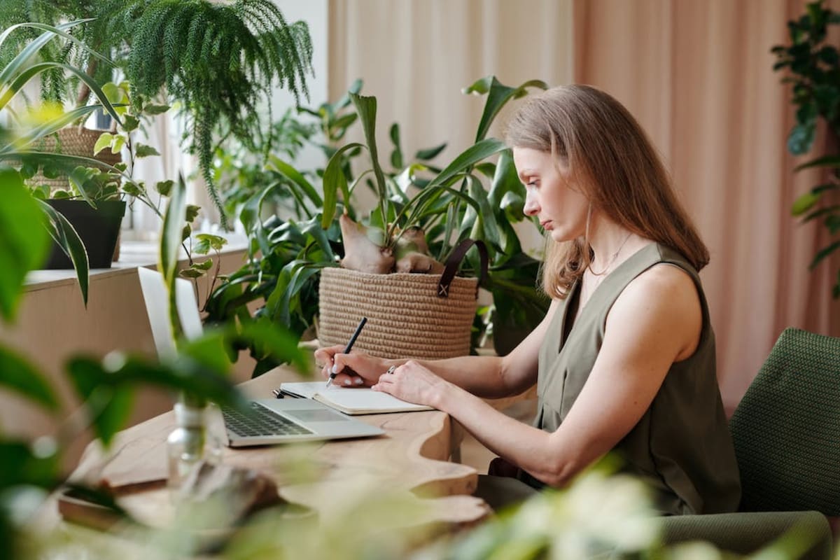 Las plantas ayudan a combatir los síntomas de la menopausia (Foto Pexels)