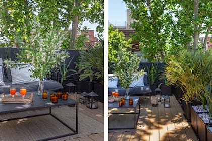 Las plantas de follaje denso resguardan la terraza. Hasta el árbol de la calle parece formar parte de este espacio. Juego de living ‘London’ con almohadones en gabardina (Rob Ortiz).