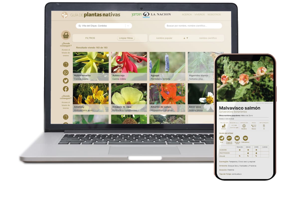 Las plantas nativas son aquellas oriundas de una región geográfica por haber crecido bajo determinadas condiciones de suelo, clima y relieve con anterioridad a cualquier intervención humana