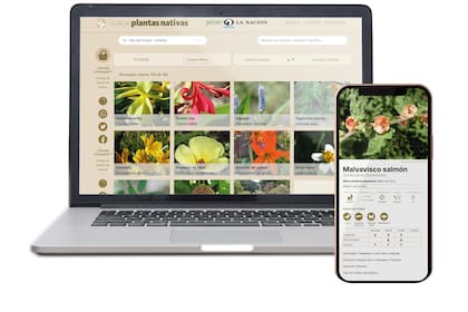 Las plantas nativas son aquellas oriundas de una región geográfica por haber crecido bajo determinadas condiciones de suelo, clima y relieve con anterioridad a cualquier intervención humana