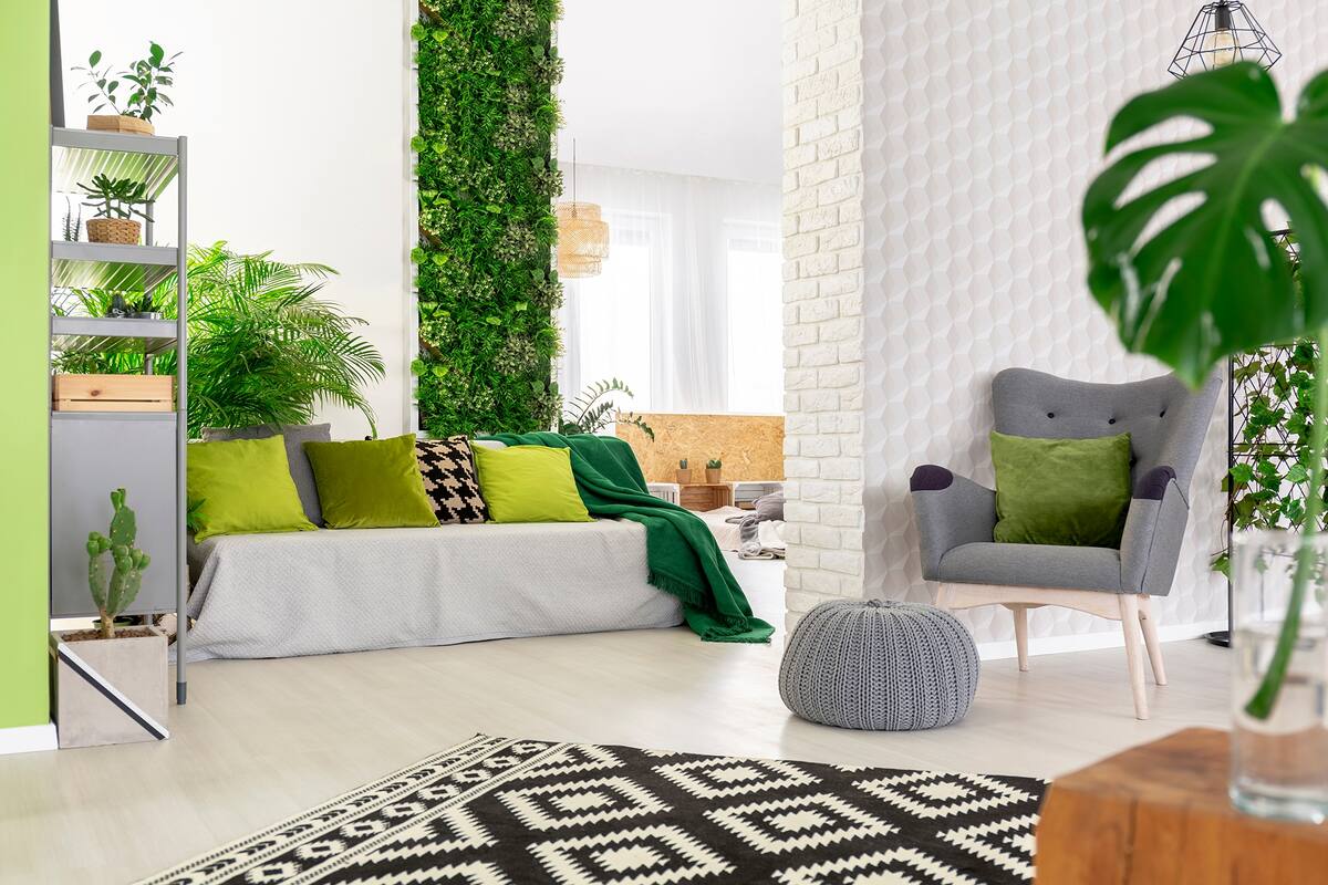 Las plantas naturales y un jardín vertical en un living dan sensación de frescura