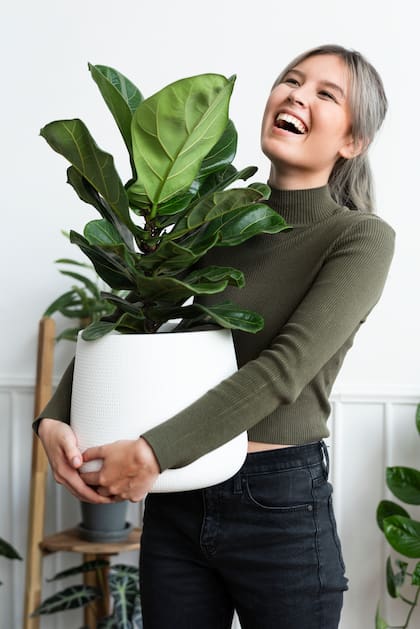Las plantas son claves para la purificación de las energías del hogar, según el Feng Shui (Foto: Freepik)