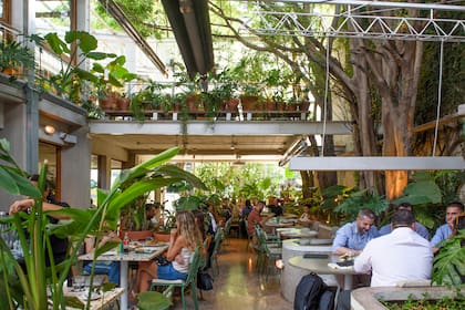 Las plantas son protagonistas de Aire Libre