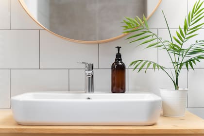Las plantas son un elemento que se pueden sumar al baño