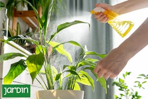 Las señales que no deberías ignorar y consejos prácticos para mantenerlas saludables