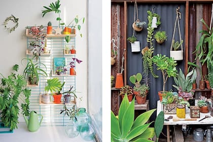 “Las plantas tienen agenda propia: florecen cuando deciden florecer, pierden las hojas cuando es el momento apropiado. Mientras nosotros intentamos organizar cada segundo de nuestro tiempo, las plantas nos instan a frenar y disfrutar del momento”, dice Judith de Graaff, creadora de Urban Jungle.