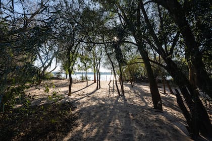 Las playas de arena y los bosques ribereños, uno de los atractivos del nuevo parque natural provincial