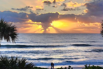 Las playas de arenas blancas y el clima subtropical de Melbourne son otros de sus atractivos, tanto para sus residentes como para los turistas