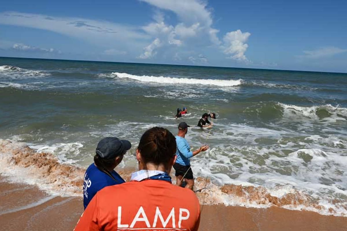 Las playas de Florida fueron el escenario de un hallazgo que sorprendió a toda la comunidad