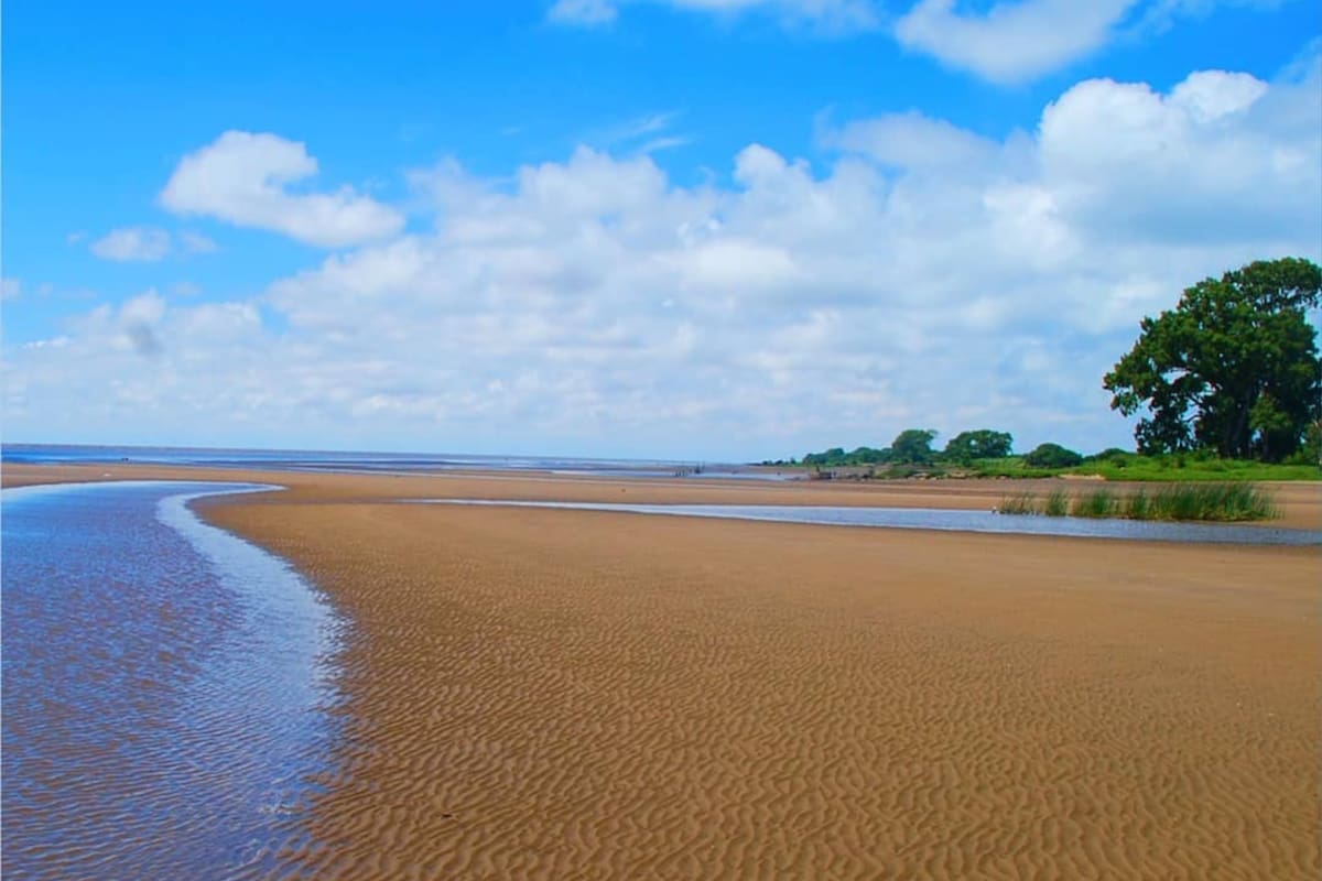 Las playas de Punta Indio