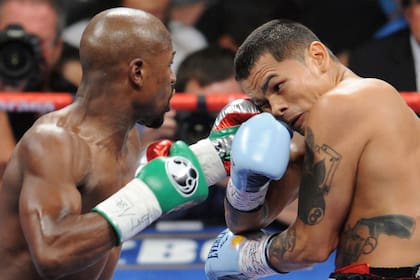 Las postales del boxeo argentino en 2014