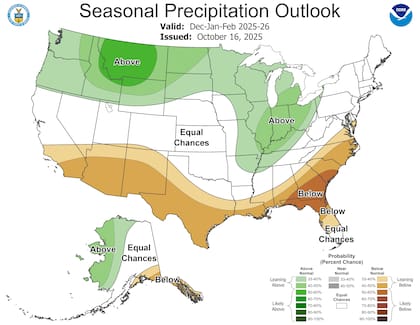Las precipitaciones en Florida estarán debajo de la media y los expertos advirtieron por posibles incendios forestales