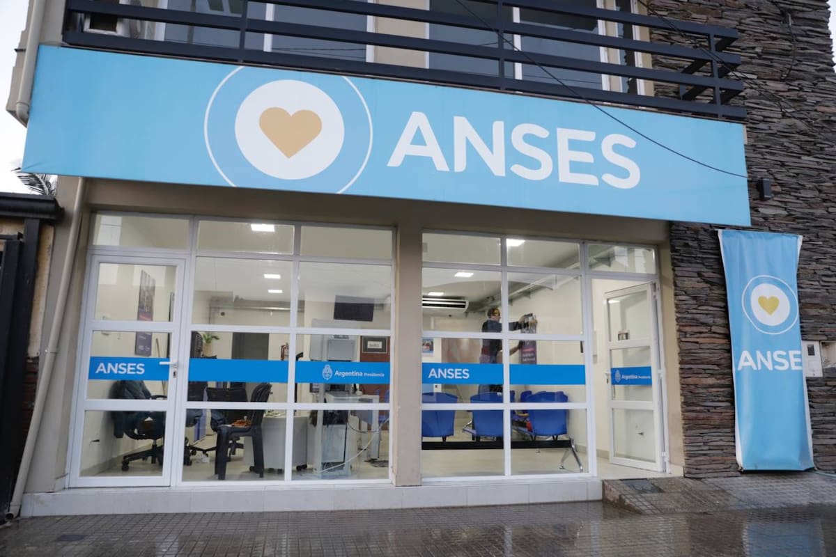 Las prestaciones que abona la Anses en la semana del 8 al 12 de enero