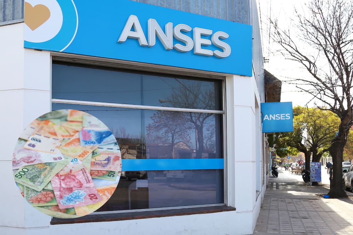 Las prestaciones que abona la Anses en la semana del 19 al 23 de enero