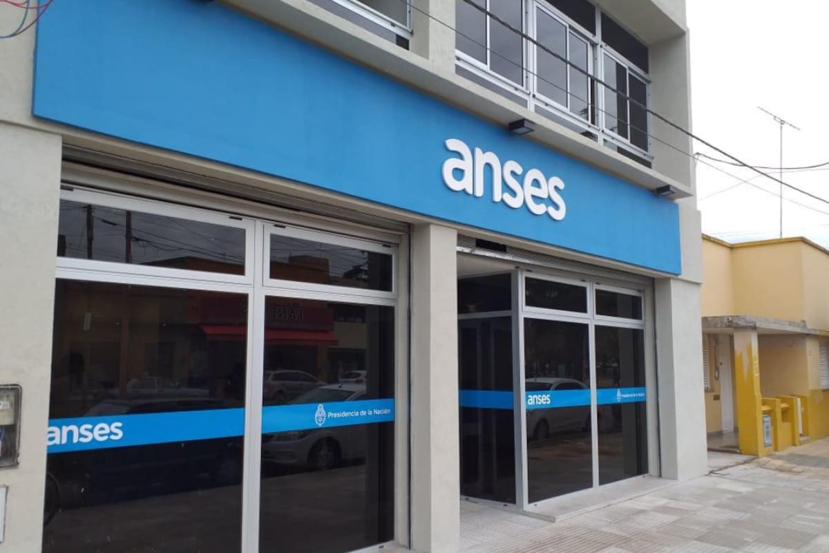 Las prestaciones que abona la Anses este viernes 11 de noviembre