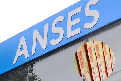 Las prestaciones sociales que abona Anses entre del 15 al 19 de septiembre