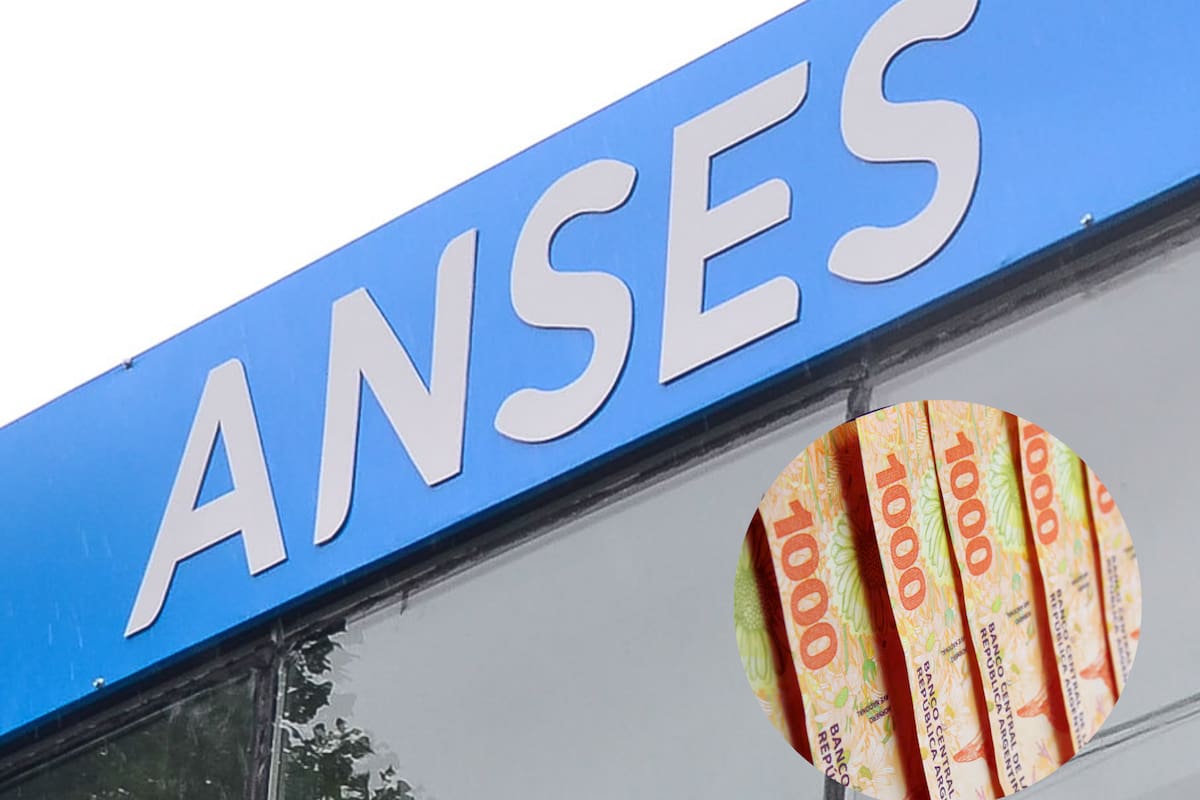 Las prestaciones sociales que abona Anses este jueves 15 de enero