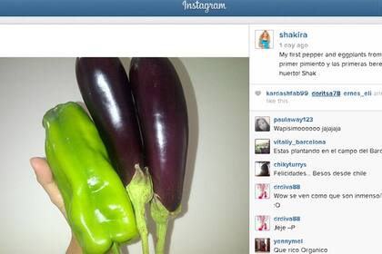 Las primeras cosechas de Shakira, ahora, horticultora