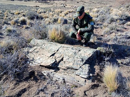 Las primeras observaciones indican que se trata de una formación no registrada hasta ahora en esa zona de la provincia