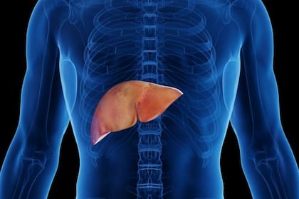 Las principales causas son: el sedentarismo, el sobrepeso, la obesidad, el colesterol alto, la hipertensión y la diabetes