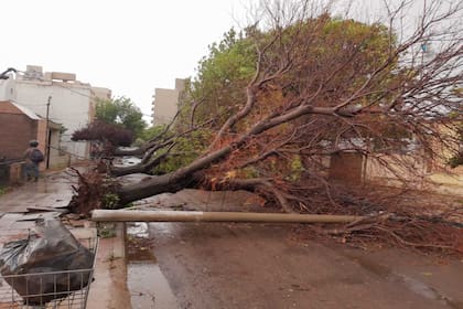 Las principales zonas afectadas fueron las ciudades de Santa Rosa, Toay y Doblas