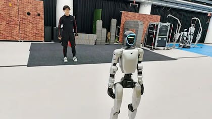 Las prohibiciones en EE.UU. a la importación de robots fabricados en el extranjero ha impedido su expansión en el país