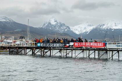 Las propuestas generaron una ola de rechazo en la comunidad científica, organizaciones ambientalistas y sectores de la economía local que ven en esta avanzada un retroceso grave y evitable.