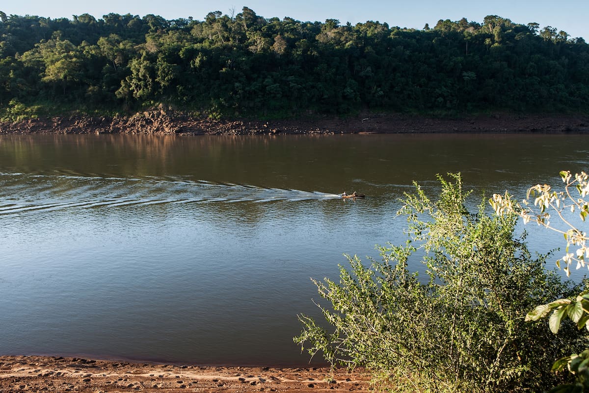 Las propuestas para conocer la región se multiplican más allá de Cataratas, con opciones que suman valor a una visita. De un safari fotográfico y caminatas interpretativas, a navegación por el Paraná, alta cocina nativa y la ruta de la yerba mate.