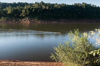 Modo avión: 3 maneras de redescubrir Iguazú