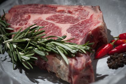 Las proteínas son fundamentales para el aumento de masa muscular (Foto Pexels)