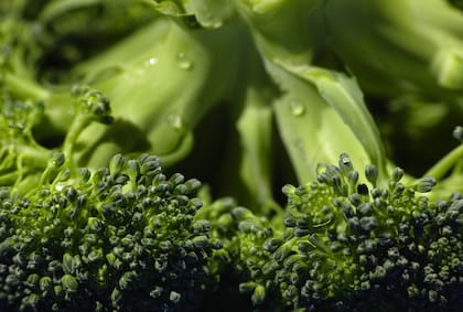 Las proteínas, vitaminas, minerales y una buena circulación sanguínea son claves para nutrir los folículos pilosos